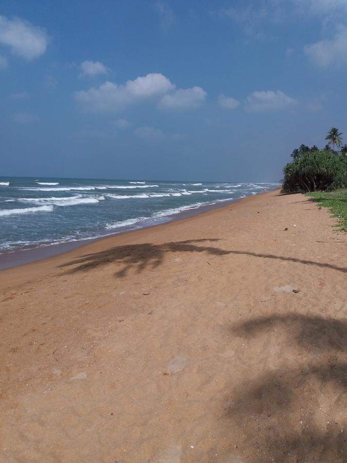 Ocean Queen Hotel Wadduwa Exteriér fotografie